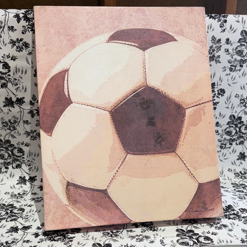 Pink and Brown Soccer Ball Canvas Art